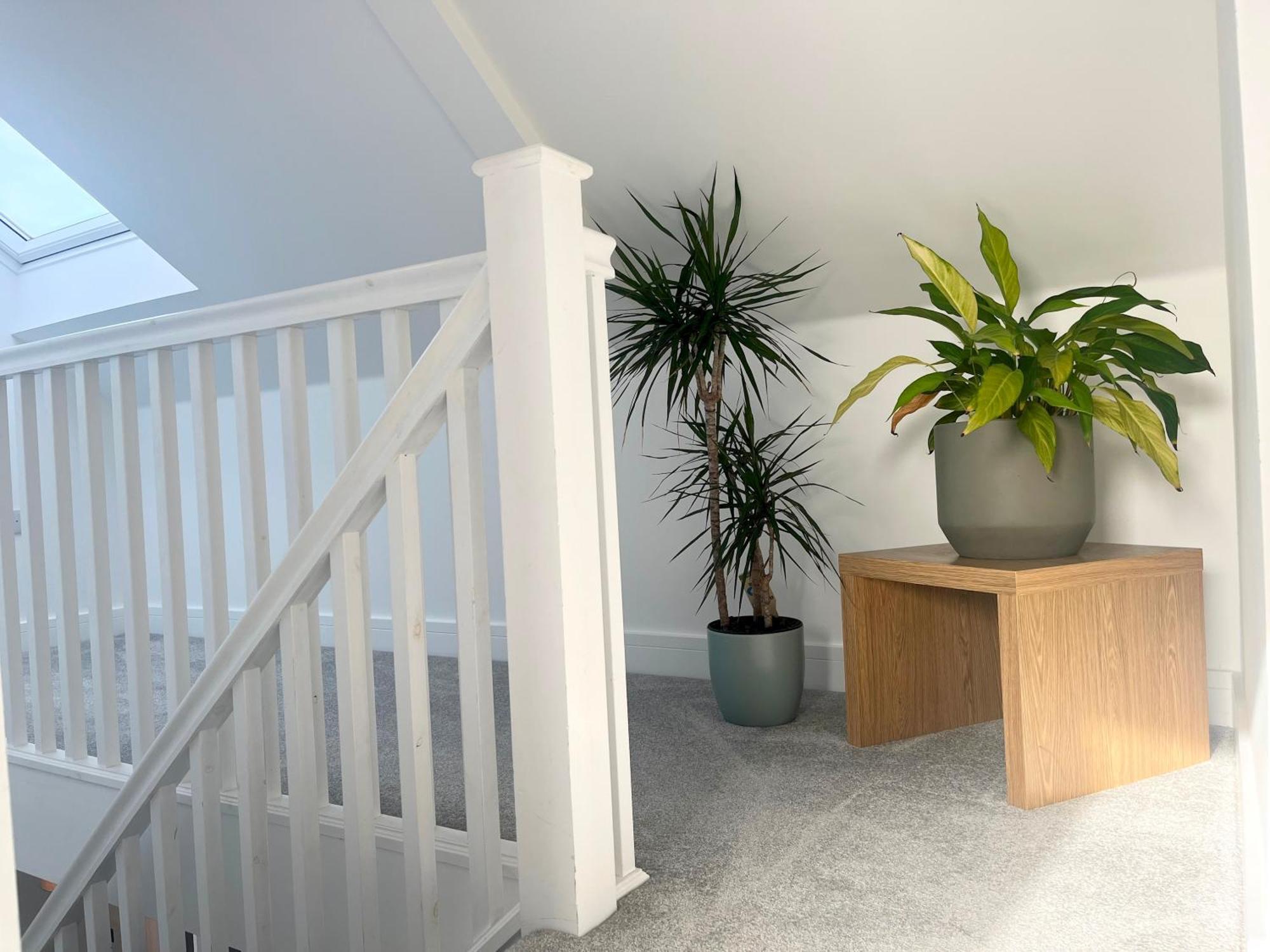 Stunning Penthouse In Penzance "Amazing Sea Views" Lägenhet Exteriör bild